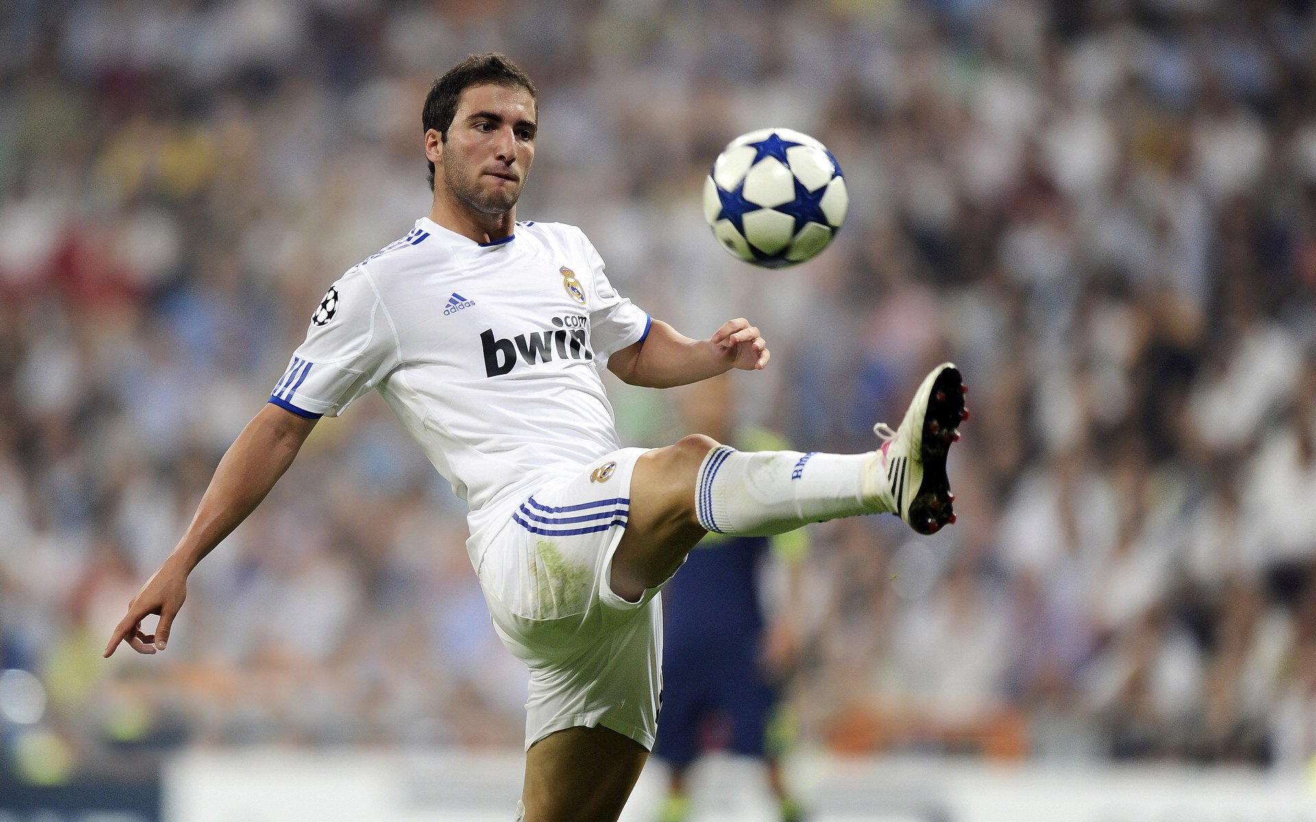 伊朗骑手吉塔·日特科维奇荣获2024年最佳障碍赛骑手奖,表彰其卓越表现。